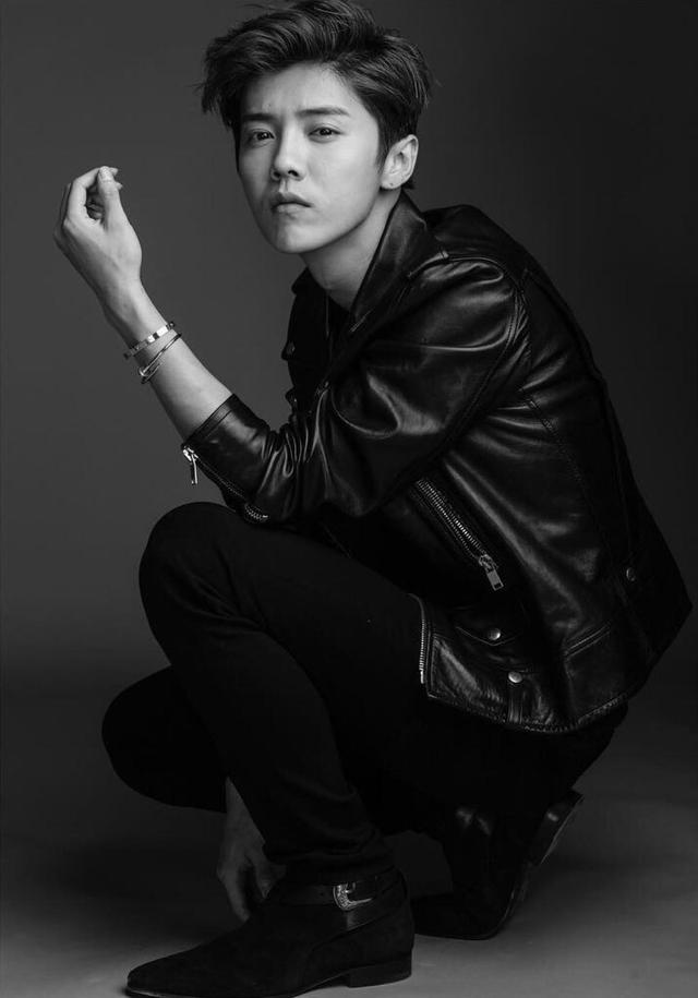 鹿晗效应:如何看待汪海林用公鸡和母鸡做比喻，吐槽鹿晗？