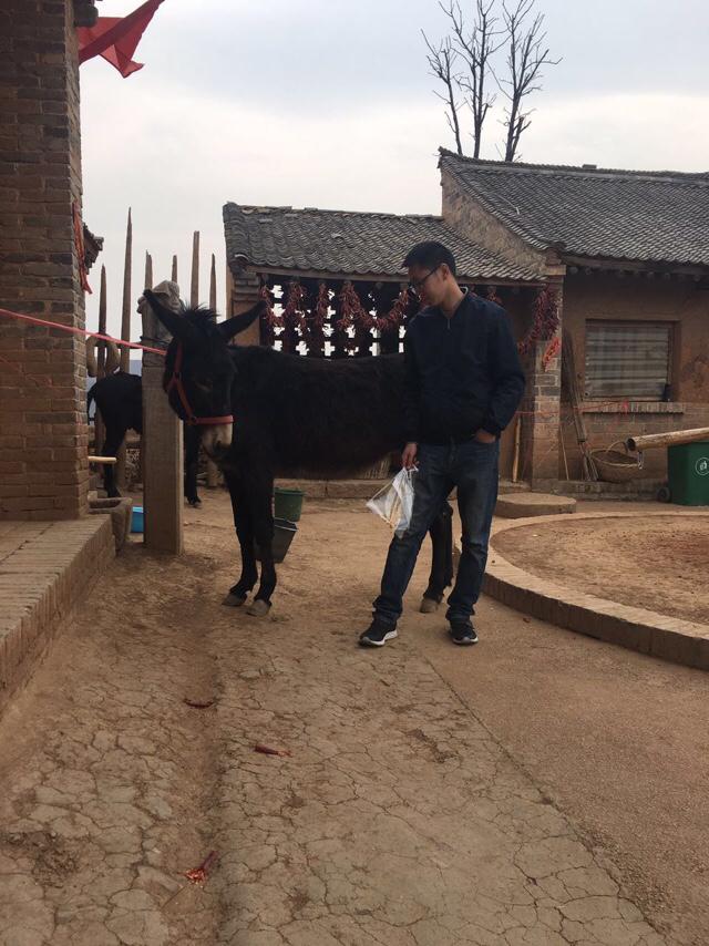 拉酷拉布拉多犬舍:拉布拉多犬的价格一般是多少？