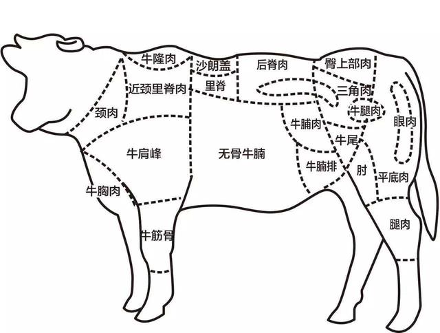 牛瘪是牛的哪个部位，牛身上哪个部位的肉最好吃该怎么做