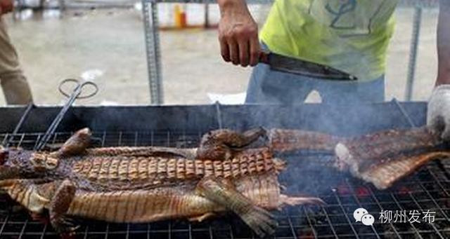 沙蟹可以吃吗:沙蟹可以食用吗 北海的沙蟹汁一点不好吃，为什么那么出名呢？