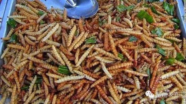 沙蟹可以吃吗:沙蟹可以食用吗 北海的沙蟹汁一点不好吃，为什么那么出名呢？
