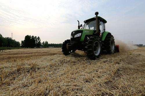 今年的农业支持补贴是补给种地的人吗？