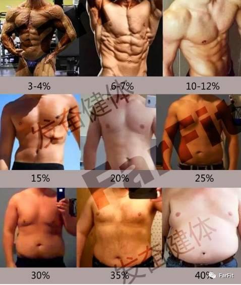 头条问答 男生体脂率从25 降到15 一般情况下大概要多少时间 该怎么进行训练 望不清月的回答 0赞