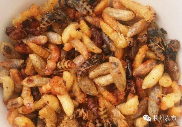 沙蟹可以吃吗:沙蟹可以食用吗 北海的沙蟹汁一点不好吃，为什么那么出名呢？