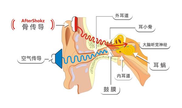 三岁宝宝急性中耳炎吃什么药:急性中耳炎会导致孩子听力下降吗？