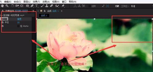色狗狗网视频大全:有什么去除视频水印的好方法？ 马拉色菌感染狗狗