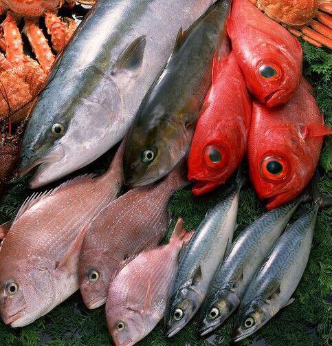 有的海鱼为什么比淡水鱼好吃，有的海鱼为什么比淡水鱼好吃