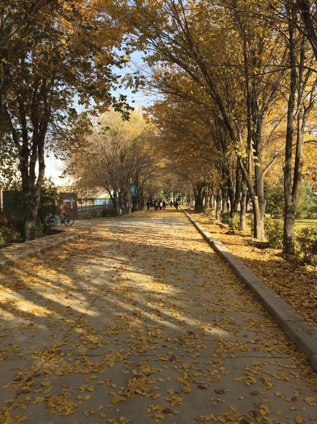 新疆出现水怪，在新疆读大学是一种怎样的体验