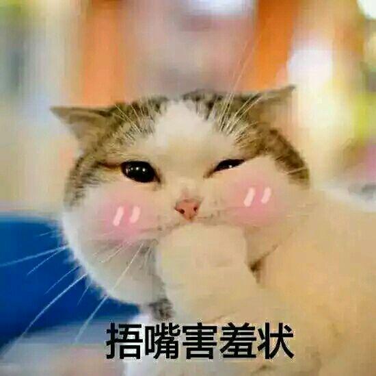 新手养猫注意事项两个月:2个月大的幼猫吃什么好？该注意些什么？ 新手养猫注意事项攻略