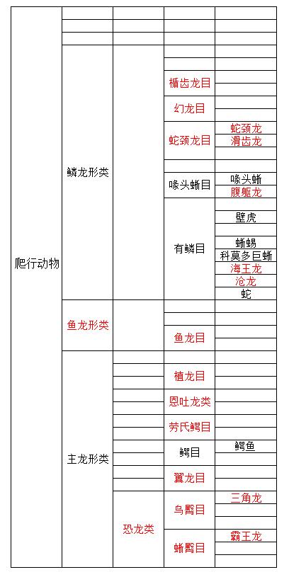 草蜥和壁虎的区别:变色龙和蜥蜴有什么区别么？ 草蜥和壁虎