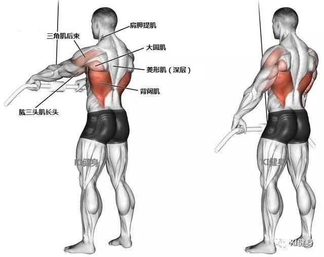头条问答 - 直臂下压为什么手臂会有感觉,是借力吗?(3个回答)