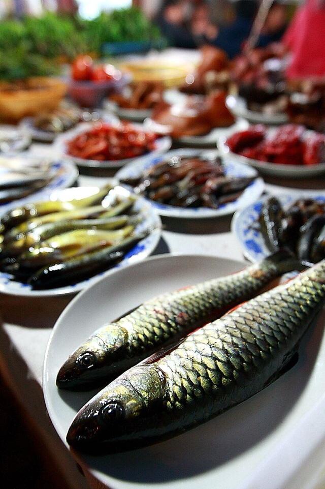 有的海鱼为什么比淡水鱼好吃，有的海鱼为什么比淡水鱼好吃