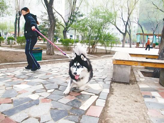 狗狗卡在里面的感觉:狗狗卡在里面的感觉播 小狗骨头疑似卡在喉咙有什么办法？