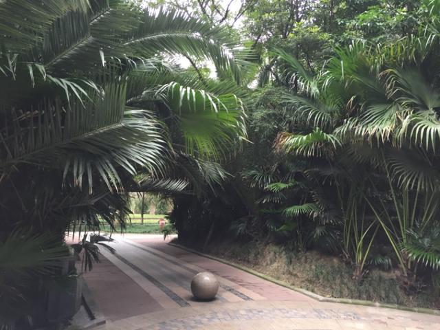 汶川地震搜救犬全部处死:来女士案，警方为什么让重大嫌疑人许某某与他的女儿独处十几天？