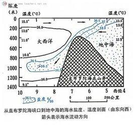 独眼鲨鱼长什么样:把鲨鱼和鲸鱼引进到里海会怎样？