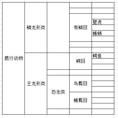 草蜥和壁虎的区别:变色龙和蜥蜴有什么区别么？ 草蜥和壁虎