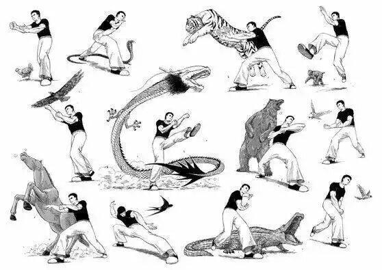 头条问答 - 形意拳十二形到底是什么?(11个回答)