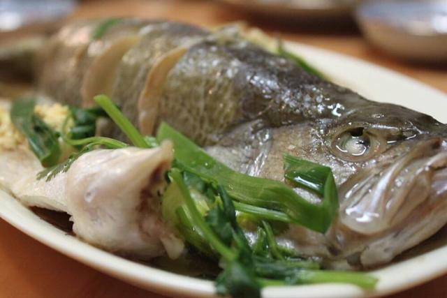 新鲜的光滑大鱼和新鲜的红腮鱼:海鱼好吃还是淡水好吃？大鱼好吃还是小鱼好吃？
