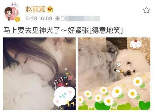 赵丽颖的婚纱照:林更新和赵丽颖组成cp你们会喜欢吗？
