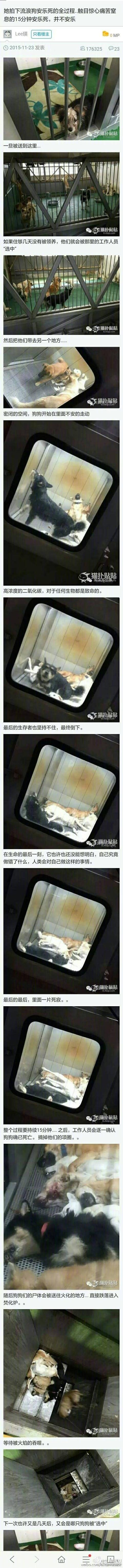 保安遭恶犬攻击视频吓尿了:大学校园有只流浪狗，保安该不该把它打死？ 保安遭恶犬攻击