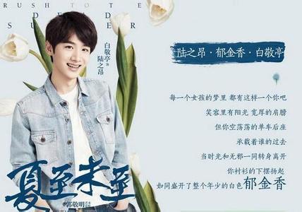陆之昂:《夏至未至》中陆之昂喜欢谁？