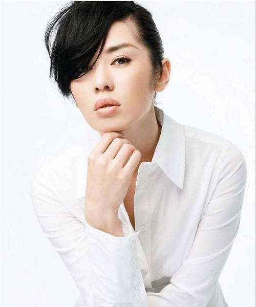 姚刚简历:如何评价由姚刚、张晶晶主演的央视热剧《上将洪学智》？