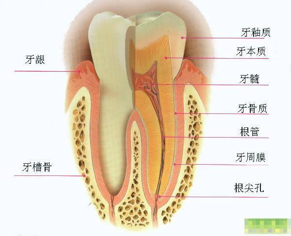 四环素牙美白(四环素牙美白多少钱)