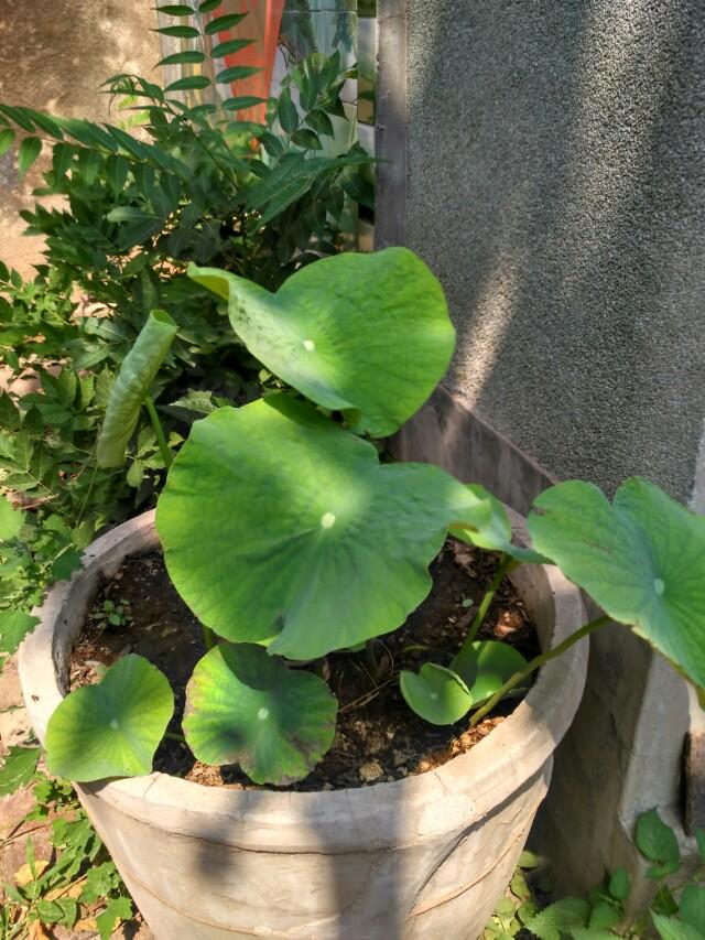 谁有适合微信朋友圈背景的图片？简约一些的？