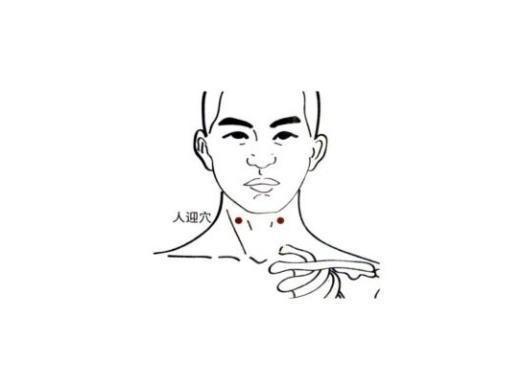 人迎穴是一个降压的应急穴,尤其适合血压出现突然增高的时候进行按压