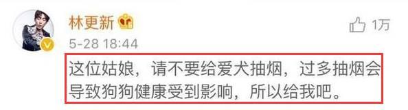 赵丽颖的婚纱照:林更新和赵丽颖组成cp你们会喜欢吗？