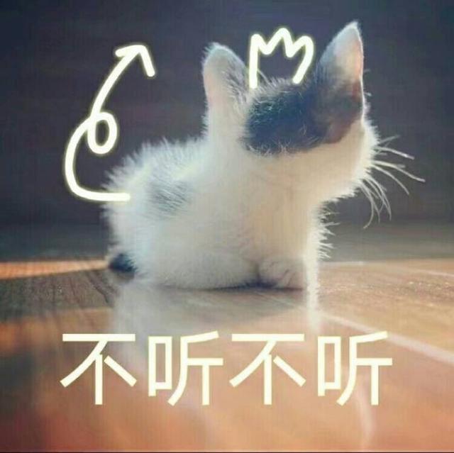 亚豹猫图片:古代的十二生肖为什么没有猫？