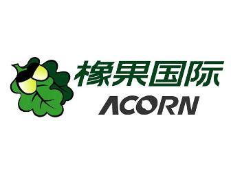 橡果国际是什么公司？