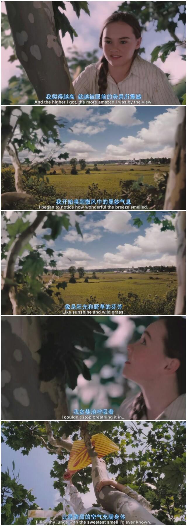怦然心动经典台词:《怦然心动》中的经典台词有哪些