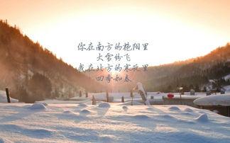 花粥为什么退出麻油叶，如何看待花粥新曲《何苦来哉》疑似抄袭《新宝岛》？