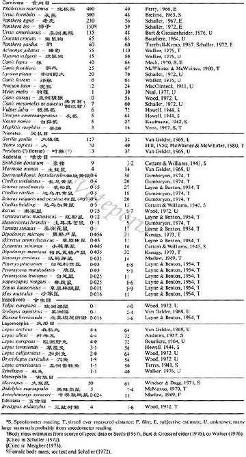 藏獒老虎打架:雄性北极熊VS雄性东北虎，东北虎有30%胜率吗？