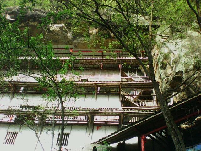 野生大熊猫误入水电站:你的家乡在四川哪里？有没有什么很有特色的地方？
