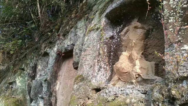 野生大熊猫误入水电站:你的家乡在四川哪里？有没有什么很有特色的地方？