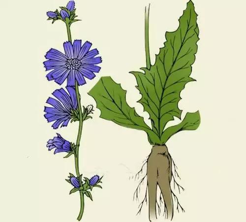 头条问答 - 痛风的"祸根"找到了,医生叹息:3种食物别再吃,小心尿酸升