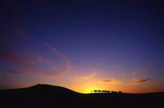 现在的羊肉串大多是什么肉做的？