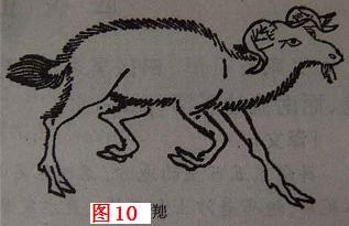 独眼鲨鱼:《山海经》中有没有可能真实存在的动物？