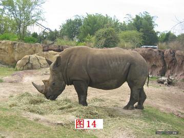 山海经被证实的75种生物，《山海经》中有哪些人、事、物已经被证实是真实的