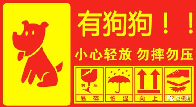 北京宠物运输公司:用什么运输方式，可以把狗狗安全送到千里之外的收养人手里？ 国际宠物运输公司