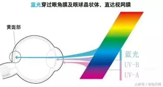 olady护眼一号 评价:OPPO千元5G手机来了，如何评价OPPO A72？