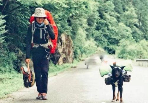 边境梗类犬:哪些狗狗适合一起徒步旅行？