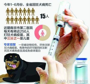 血清对狂犬病的预防措施:狂犬病的发病机理有哪些？