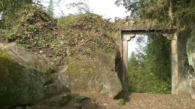 野生大熊猫误入水电站:你的家乡在四川哪里？有没有什么很有特色的地方？