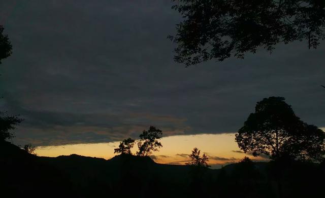野生大熊猫误入水电站:你的家乡在四川哪里？有没有什么很有特色的地方？