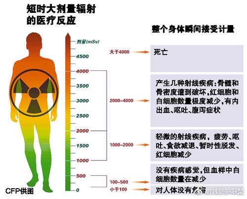 孕妇梦见戴红围脖是什么意思:红色围巾要怎么搭配衣服？