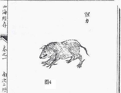 独眼鲨鱼:《山海经》中有没有可能真实存在的动物？