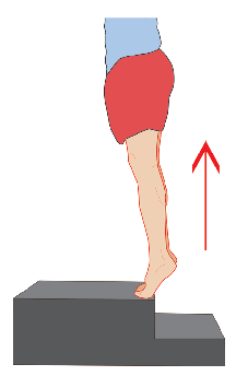 哪些方法可以瘦腿呢？插图45